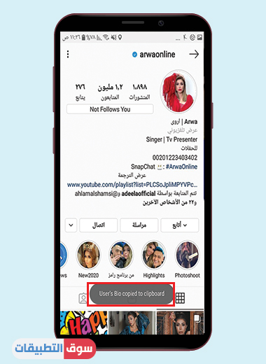 نسخ البايو في انستقرام بلس الذهبي