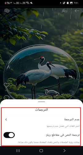 اضافة الترجمة في تحديث الانستقرام الجديد 2025 