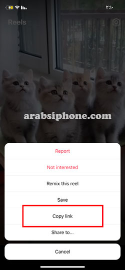 النقر على Copy Link لنسخ رابط ريلز الانستقرام